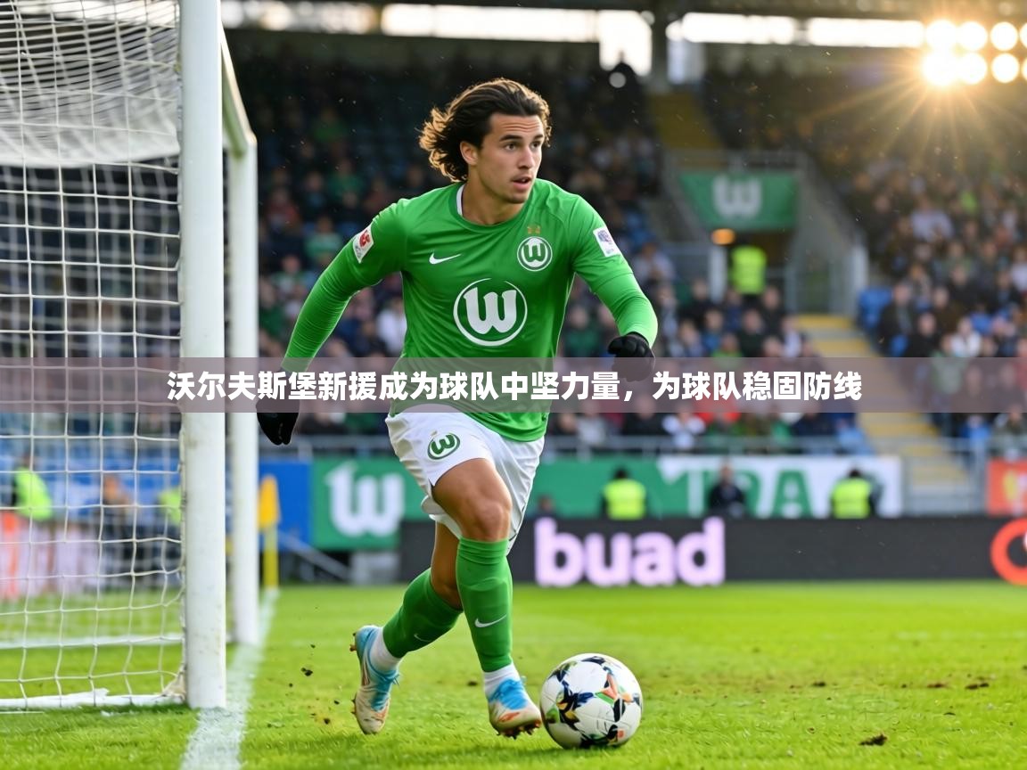 沃尔夫斯堡新援成为球队中坚力量，为球队稳固防线  第1张