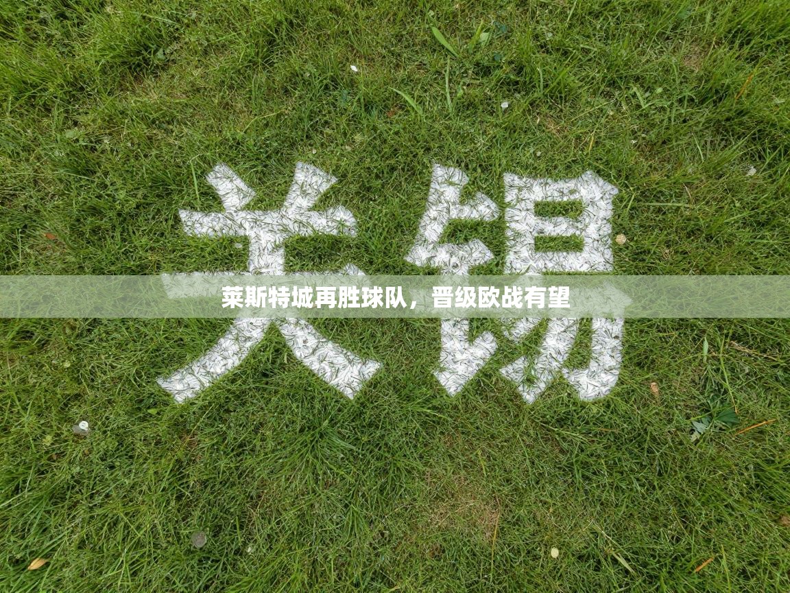 莱斯特城再胜球队，晋级欧战有望  第2张