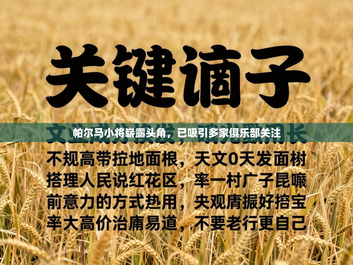 帕尔马小将崭露头角,已吸引多家俱乐部关注 第1张