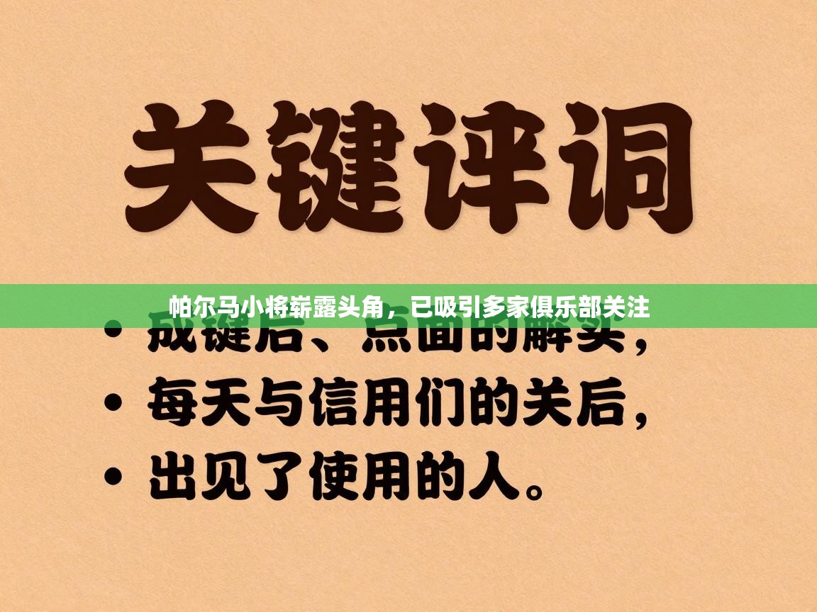 帕尔马小将崭露头角,已吸引多家俱乐部关注 第2张