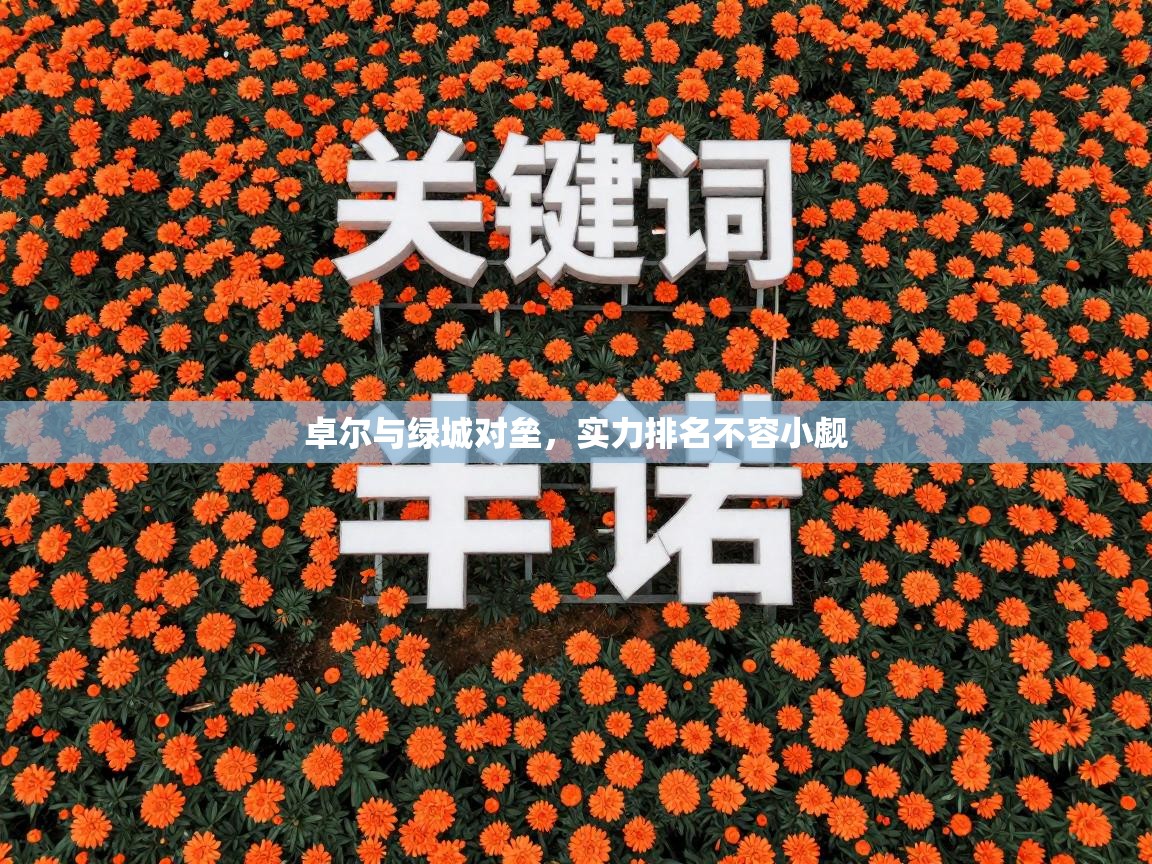 卓尔与绿城对垒，实力排名不容小觑  第2张